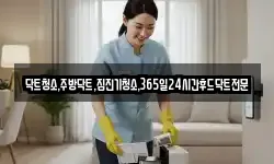 닥트청소,주방닥트,집진기청소,365일24시간후드닥트전문