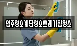 입주청소계단청소쓰레기집청소