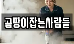 서울 중구 초동 청소,입주청소,사무실청소,에어컨청소