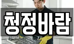 청정바람