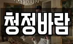 청정바람