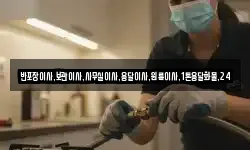 반포장이사,보관이사,사무실이사,용달이사,원룸이사,1톤용달화물,24