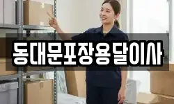 동대문포장용달이사