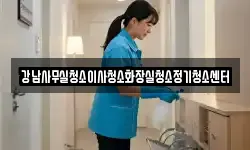 강남사무실청소이사청소화장실청소정기청소센터