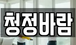 청정바람