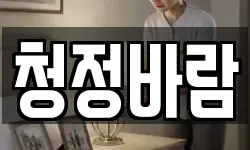 청정바람