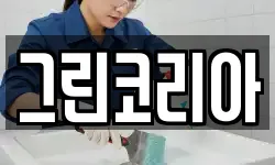 서울 중랑구 망우동 청소,입주청소,사무실청소,에어컨청소