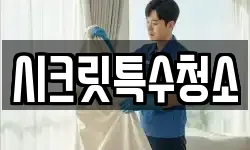 시크릿특수청소