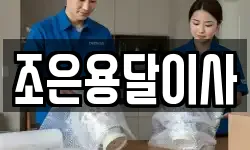 조은용달이사
