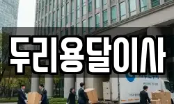 두리용달이사
