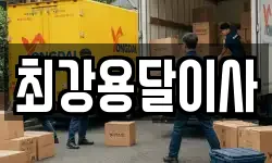 최강용달이사