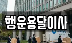 행운용달이사