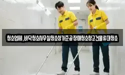 청소업체,바닥청소사무실청소상가준공장매청소창고건물류대청소