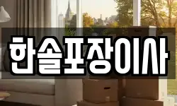 한솔포장이사