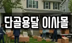 단골용달 이사몰