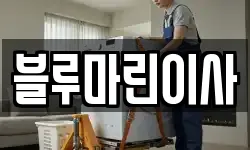 블루마린이사