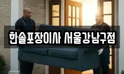 한솔포장이사 서울강남구점