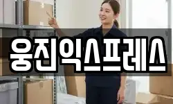 웅진익스프레스