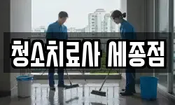 청소치료사 세종점