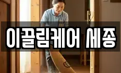 이끌림케어 세종