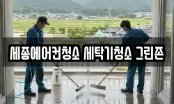 세종에어컨청소 세탁기청소 그린존