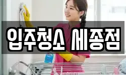 입주청소 세종점