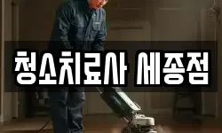 청소치료사 세종점