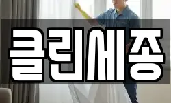클린세종