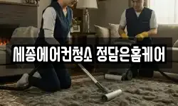 세종특별자치시 다정동 청소,입주청소,사무실청소,에어컨청소