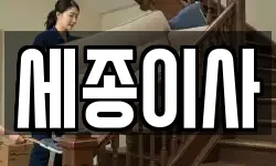 세종이사
