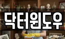닥터윈도우