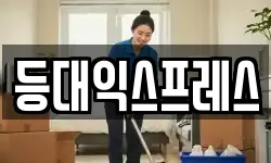 세종특별자치시 대평동 이사,용달이사,포장이사,원룸이사,보관이사