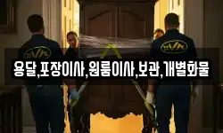 용달,포장이사,원룸이사,보관,개별화물