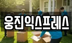웅진익스프레스