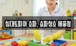 침대토피아 소파, 쇼파청소 세종점