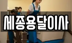 세종용달이사