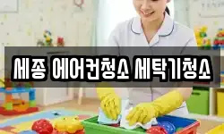 세종 에어컨청소 세탁기청소