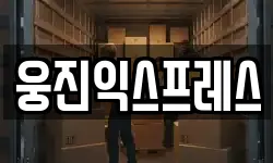 웅진익스프레스