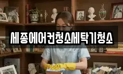 세종에어컨청소세탁기청소