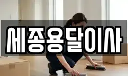세종용달이사