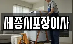세종시포장이사