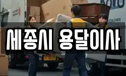 세종시 용달이사