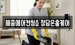세종에어컨청소 정담은홈케어