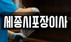 세종시포장이사
