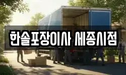 한솔포장이사 세종시점