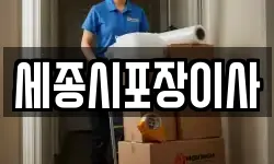 세종시포장이사