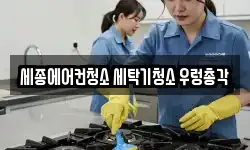 세종에어컨청소 세탁기청소 우렁총각
