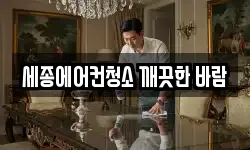 세종에어컨청소 깨끗한 바람