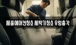 세종에어컨청소 세탁기청소 우렁총각