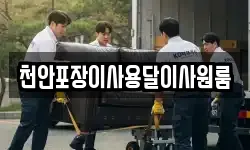 천안포장이사용달이사원룸